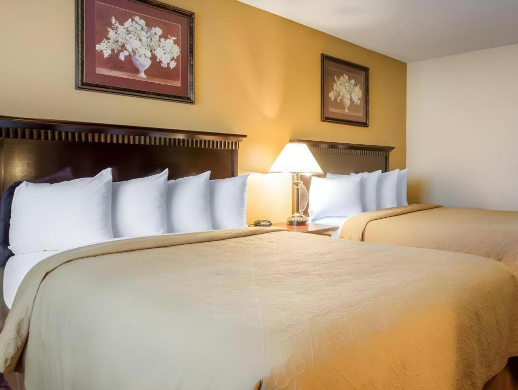 Quality Inn San Bernardino Bagian luar foto