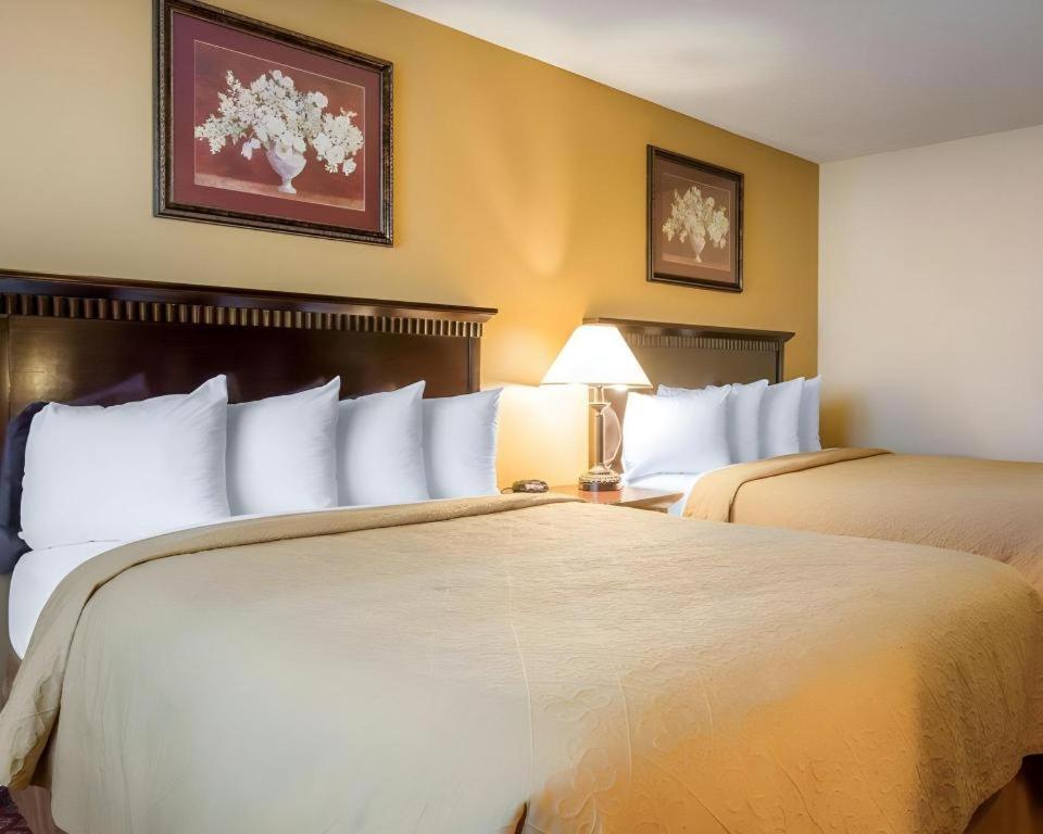 Quality Inn San Bernardino Bagian luar foto
