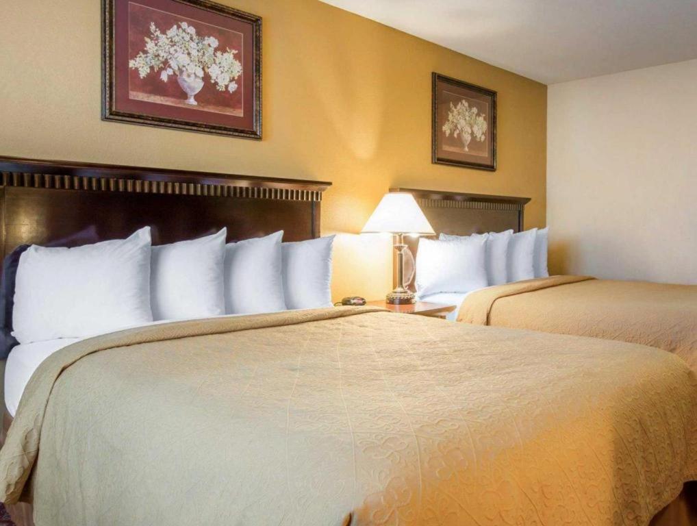Quality Inn San Bernardino Bagian luar foto