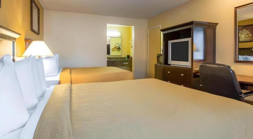 Quality Inn San Bernardino Bagian luar foto