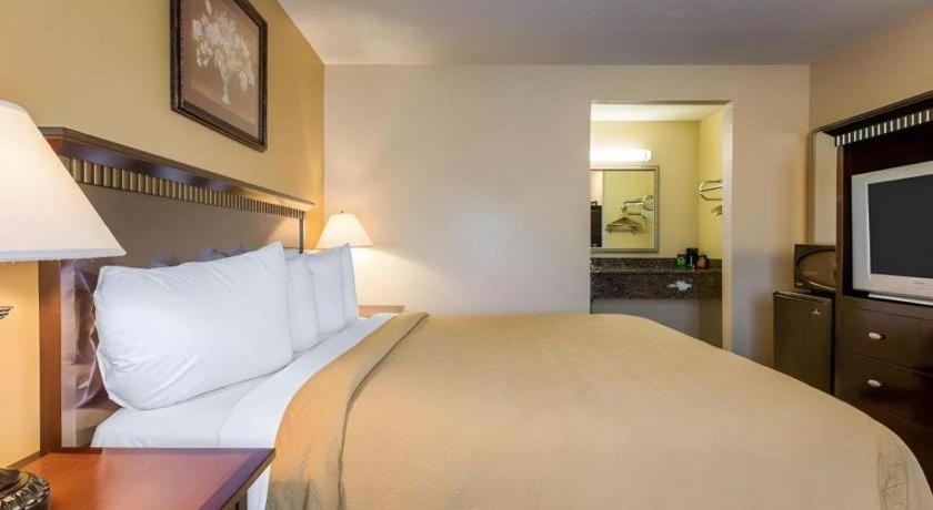 Quality Inn San Bernardino Bagian luar foto